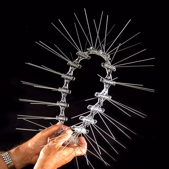 5 Row PC Basement Stainless Steel Pest Control Anti Bird Spikes