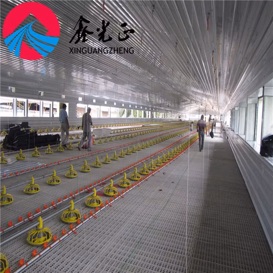 China Hot Sale Mobile Layer Eggs Chicken Hen Einfache Installation Hurrikansicherer Geflügelstall mit Stahlkonstruktion