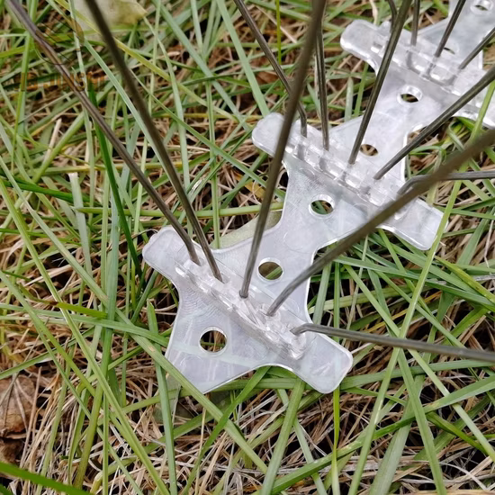 5-reihige PC-Keller-Edelstahl-Schädlingsbekämpfungs-Anti-Vogel-Spikes